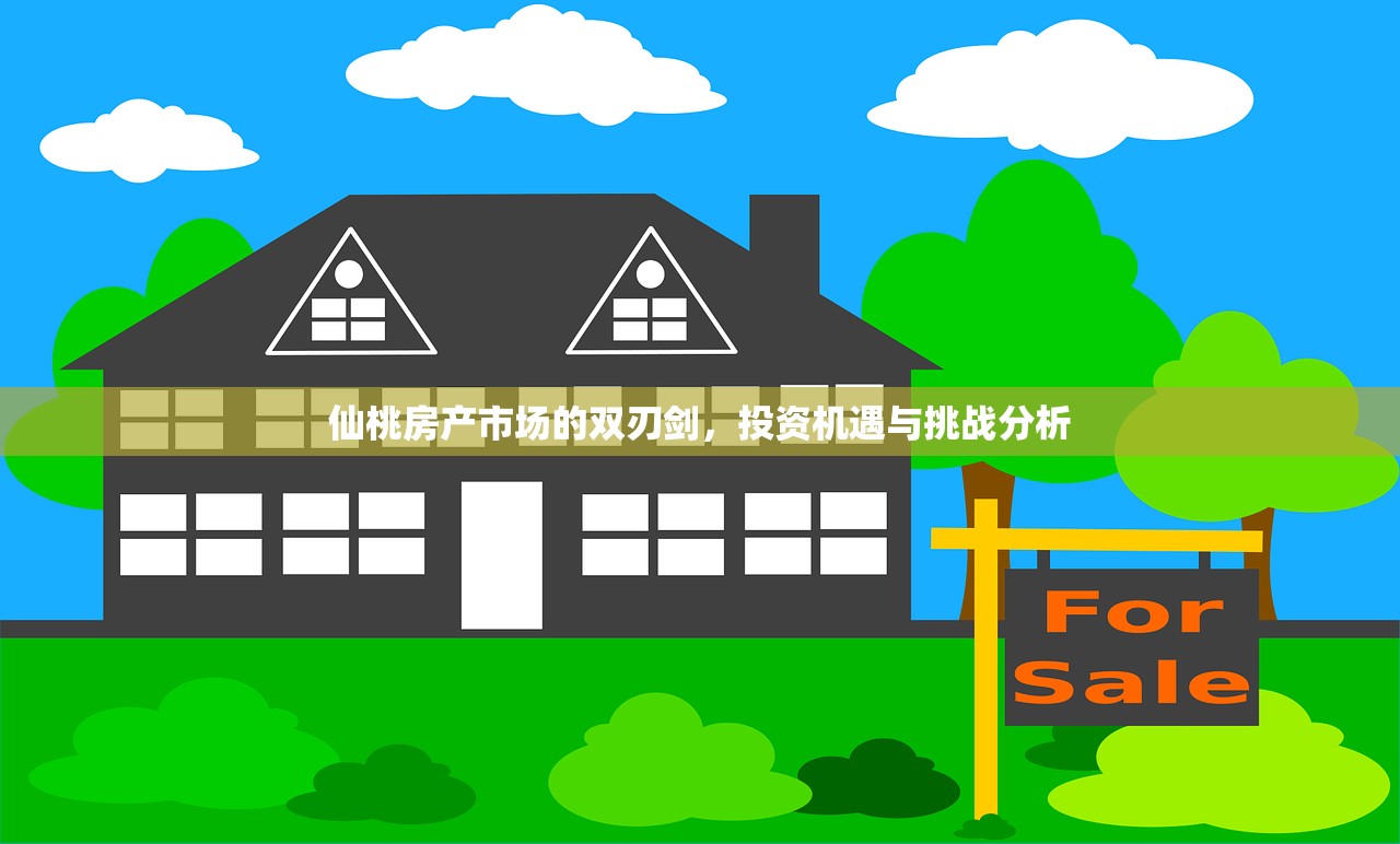 仙桃房产市场的双刃剑，投资机遇与挑战分析