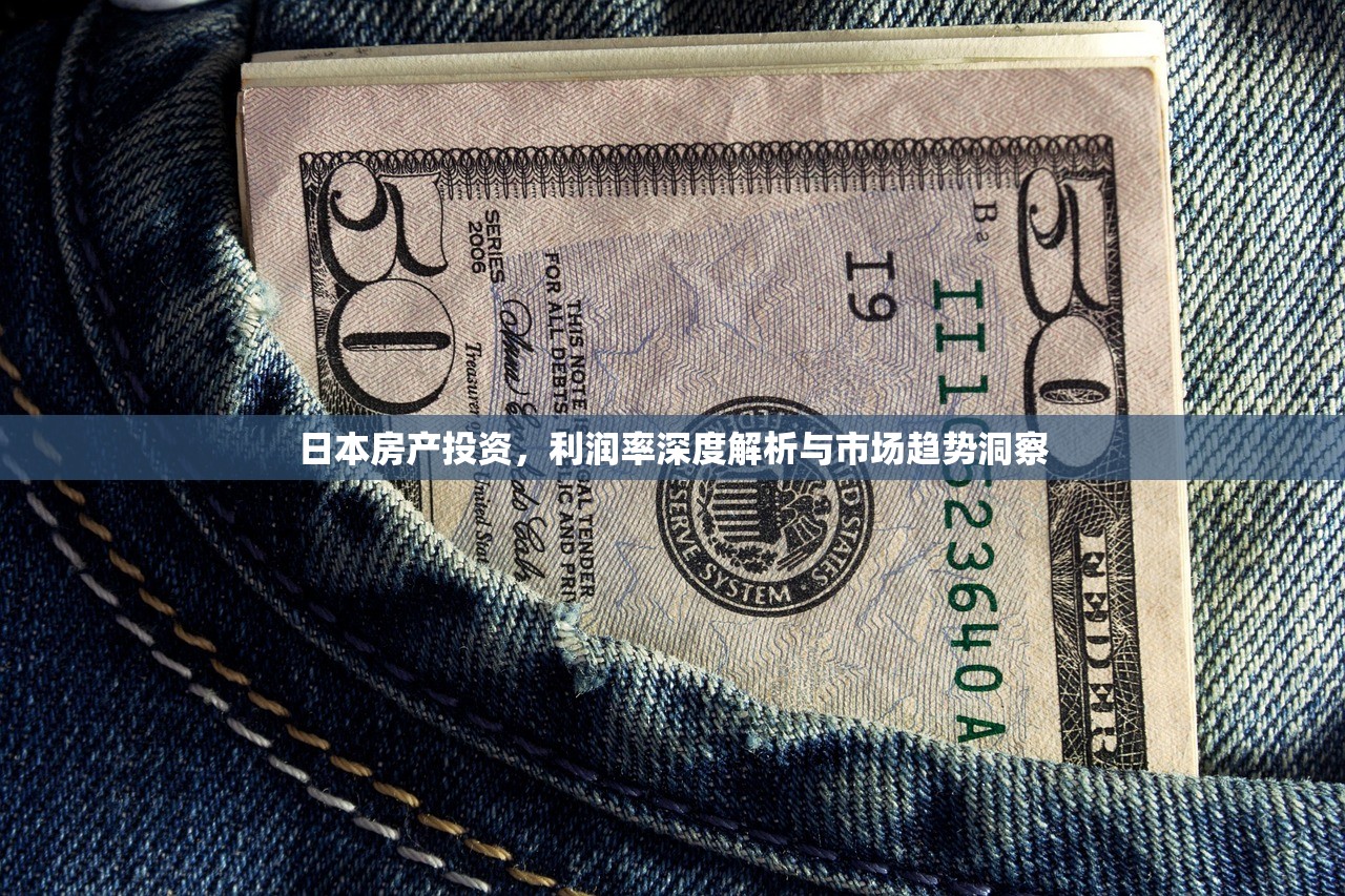 日本房产投资，利润率深度解析与市场趋势洞察