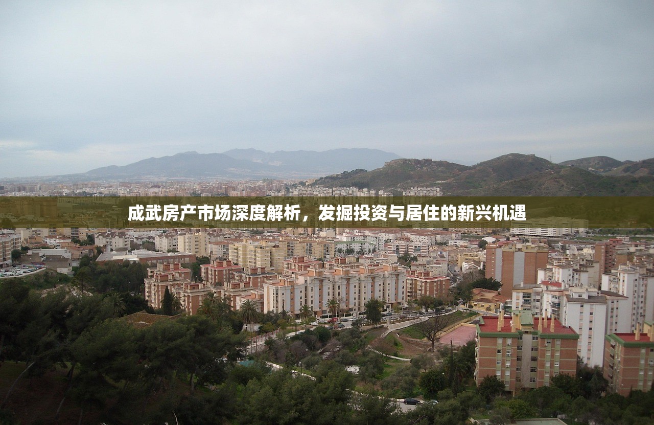 成武房产市场深度解析，发掘投资与居住的新兴机遇