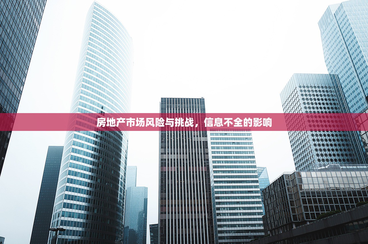房地产市场风险与挑战，信息不全的影响
