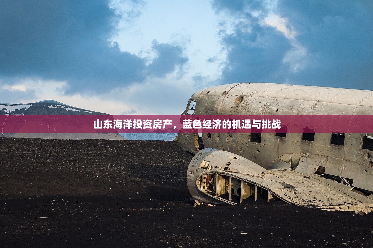山东海洋投资房产，蓝色经济的机遇与挑战