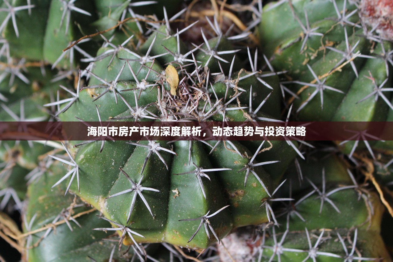 运城商铺房产税政策深度解析，税收责任与合规经营指南