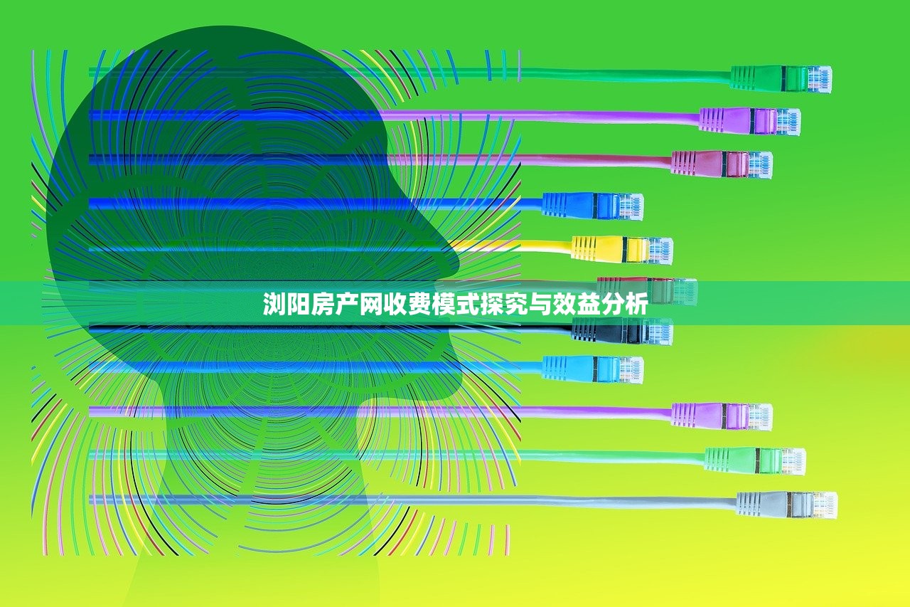 浏阳房产网收费模式探究与效益分析