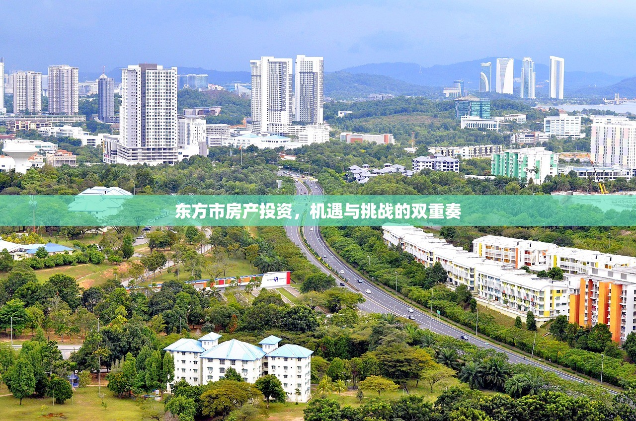 东方市房产投资，机遇与挑战的双重奏