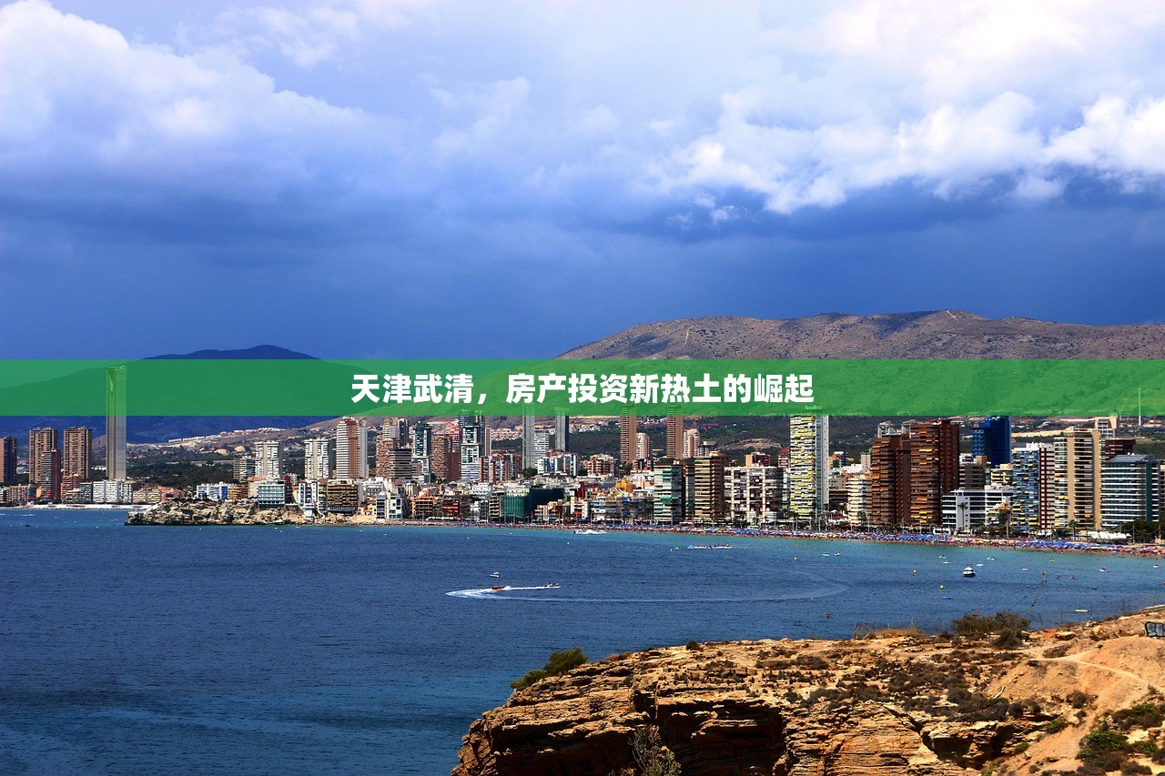 天津武清，房产投资新热土的崛起