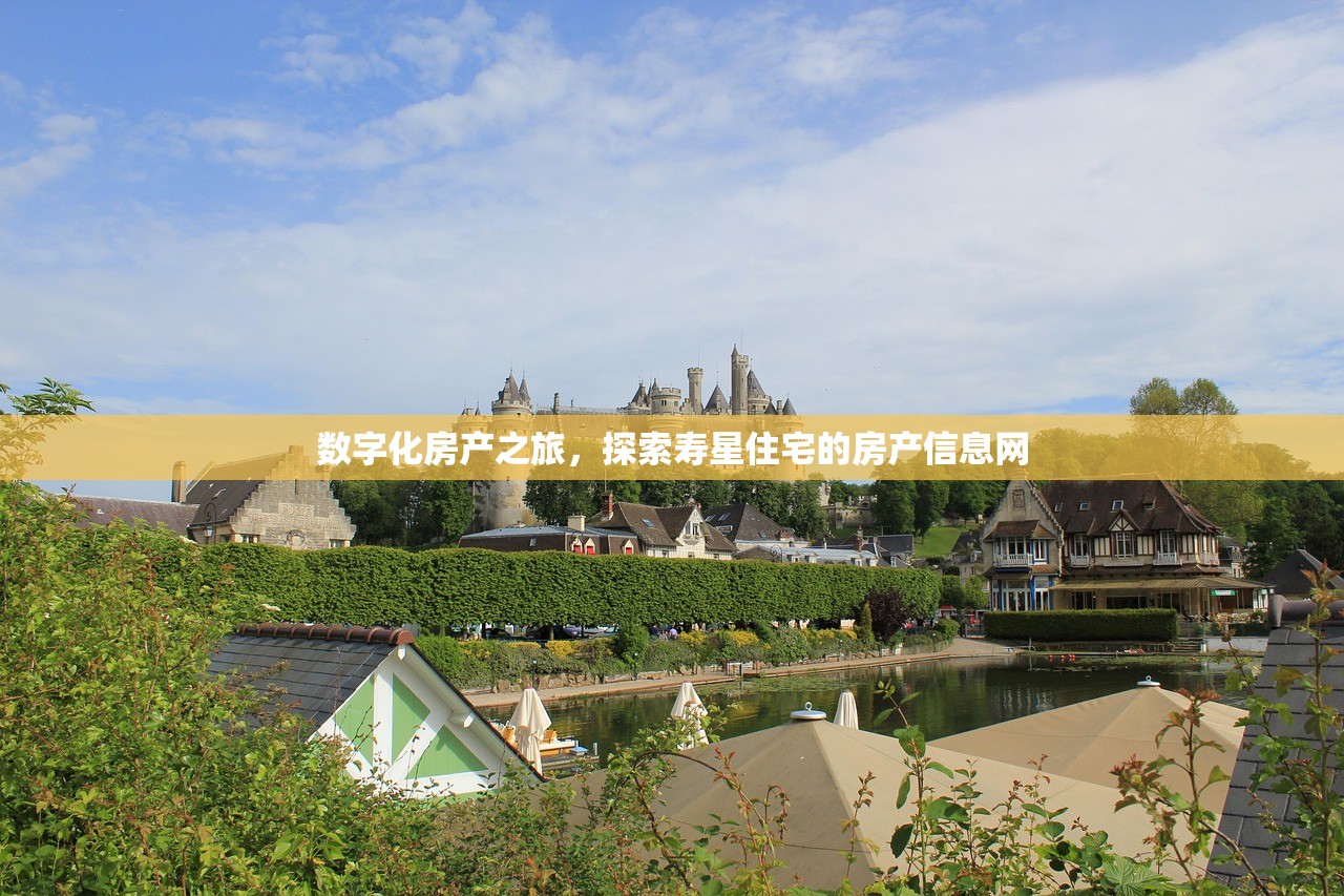 数字化房产之旅，探索寿星住宅的房产信息网