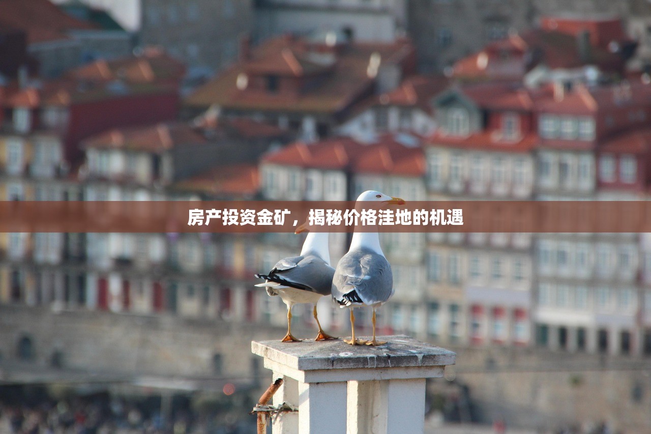 房产投资金矿，揭秘价格洼地的机遇