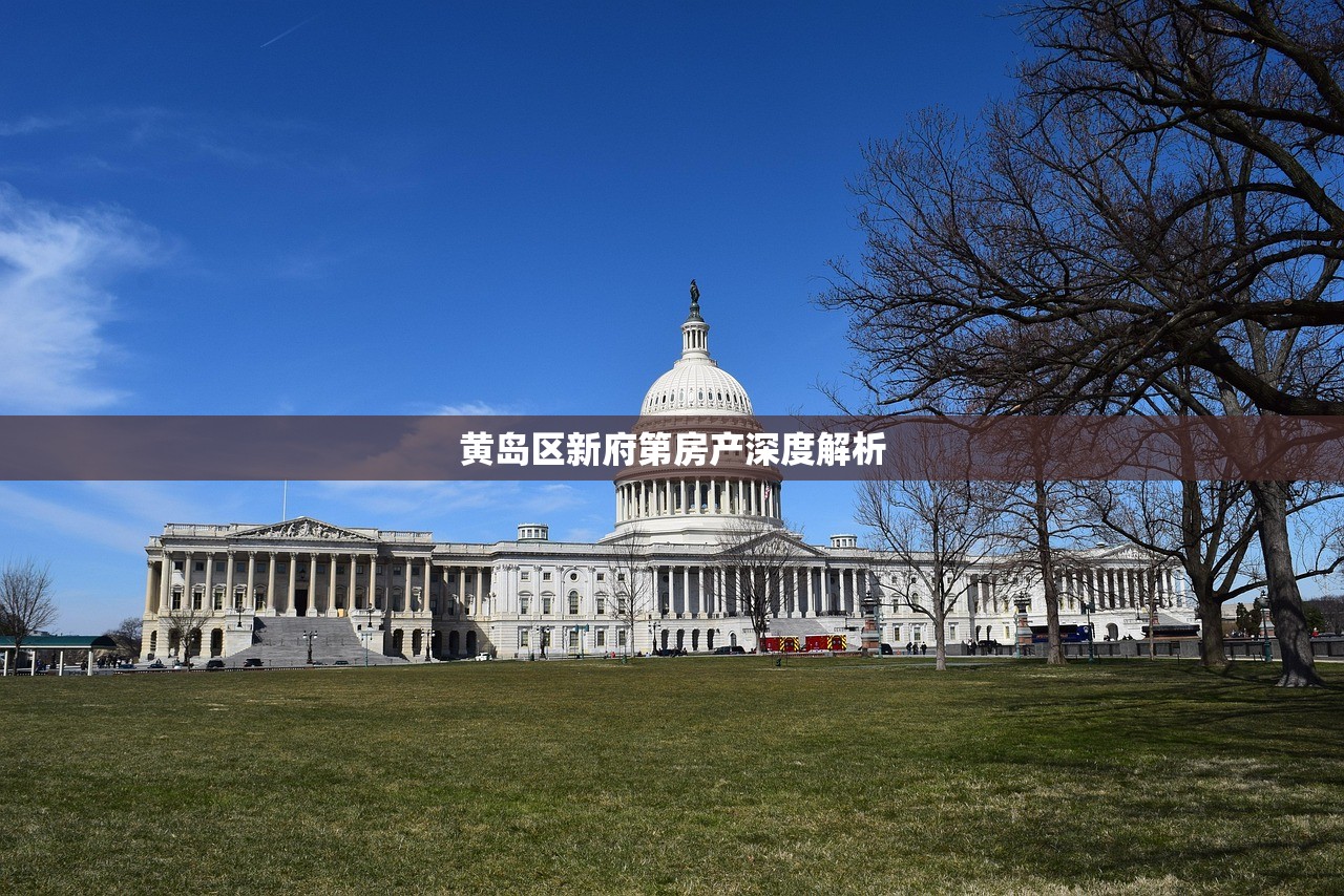 黄岛区新府第房产深度解析