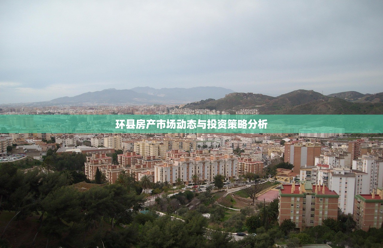 环县房产市场动态与投资策略分析