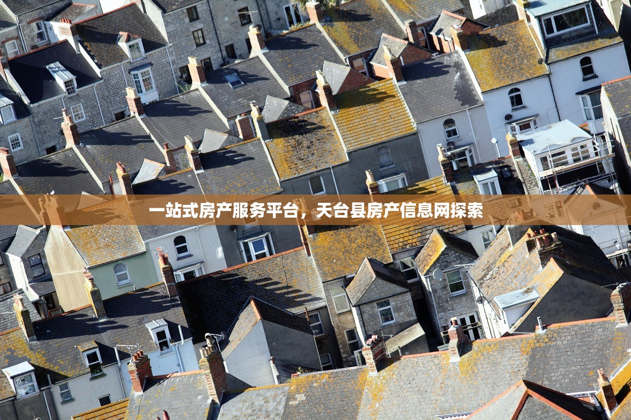 一站式房产服务平台，天台县房产信息网探索