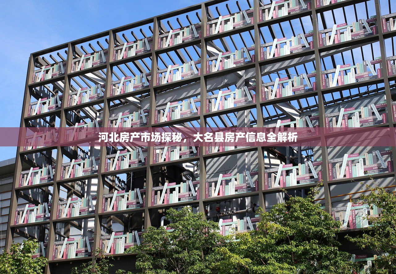 河北房产市场探秘，大名县房产信息全解析
