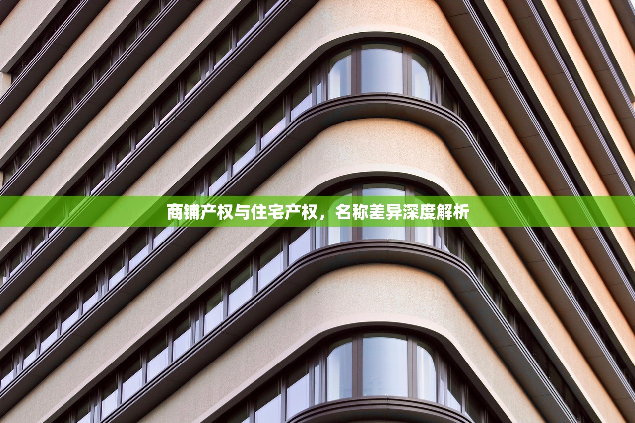 辛向明 第2页