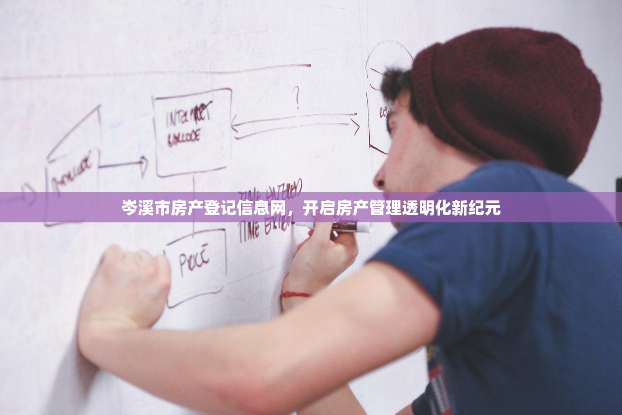 岑溪市房产登记信息网，开启房产管理透明化新纪元