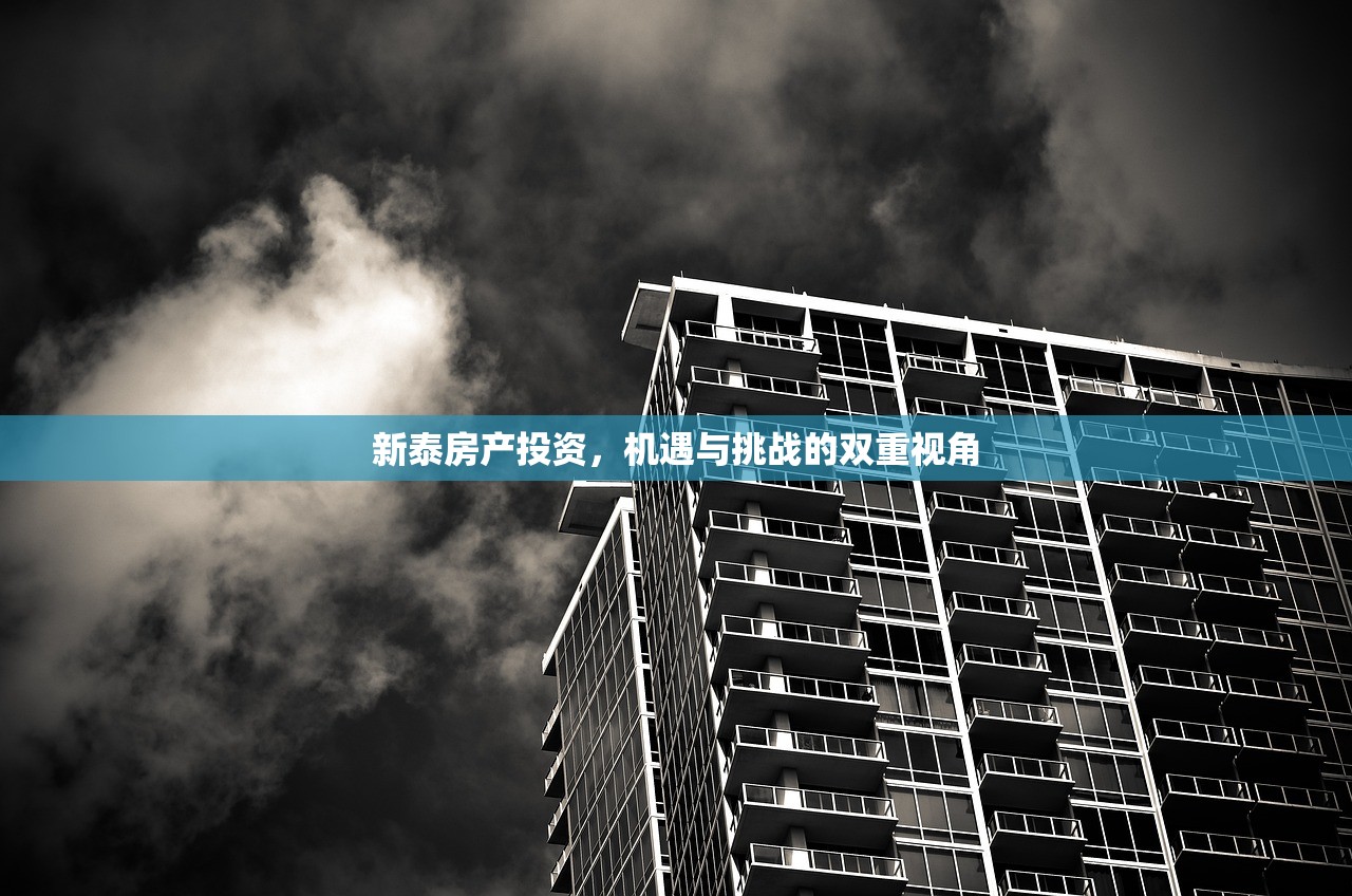 新泰房产投资，机遇与挑战的双重视角