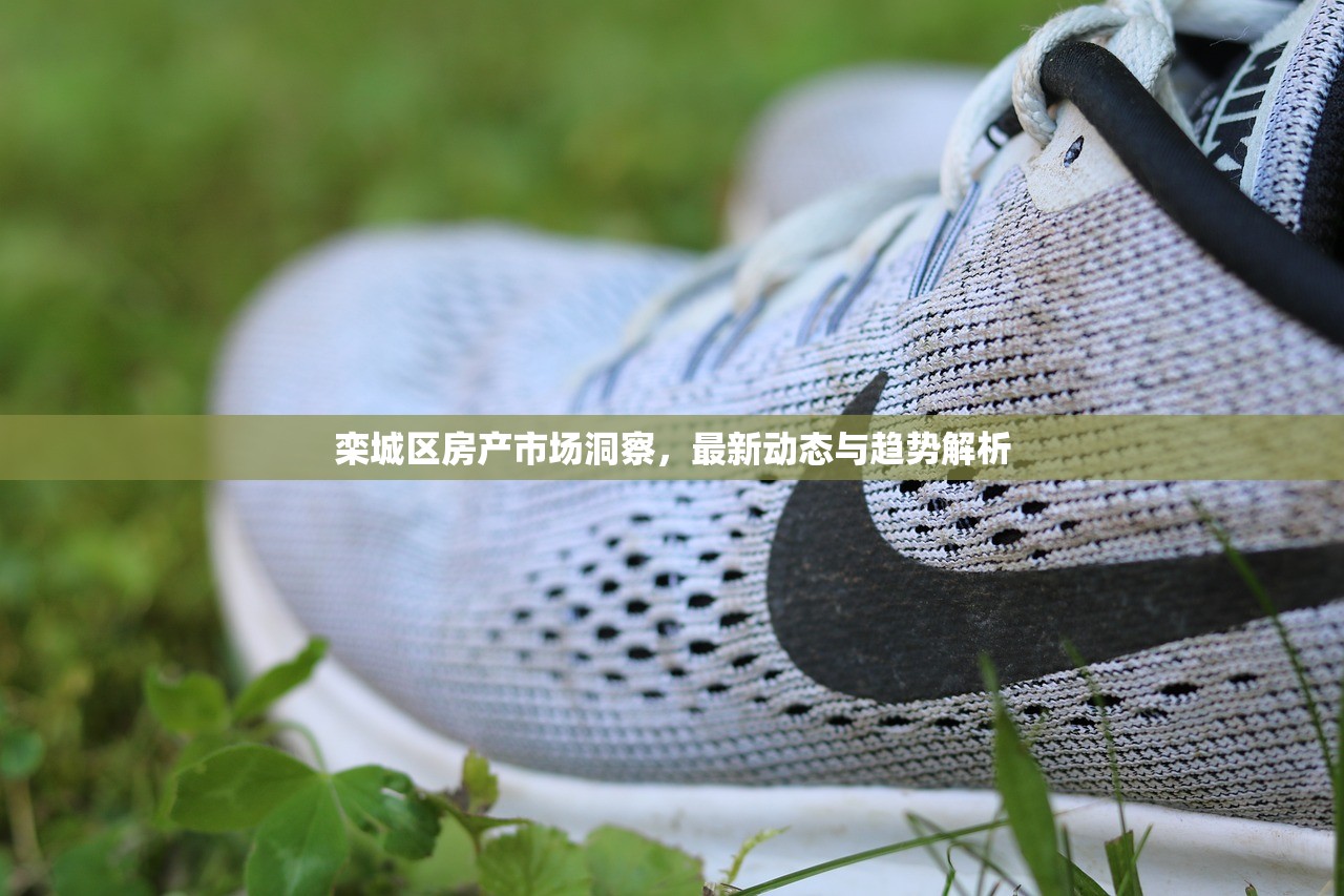 栾城区房产市场洞察，最新动态与趋势解析