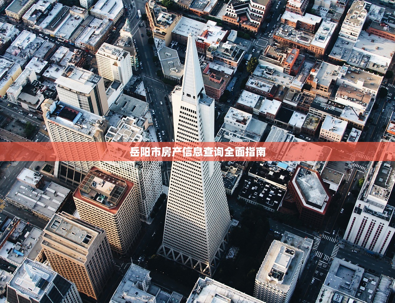 岳阳市房产信息查询全面指南