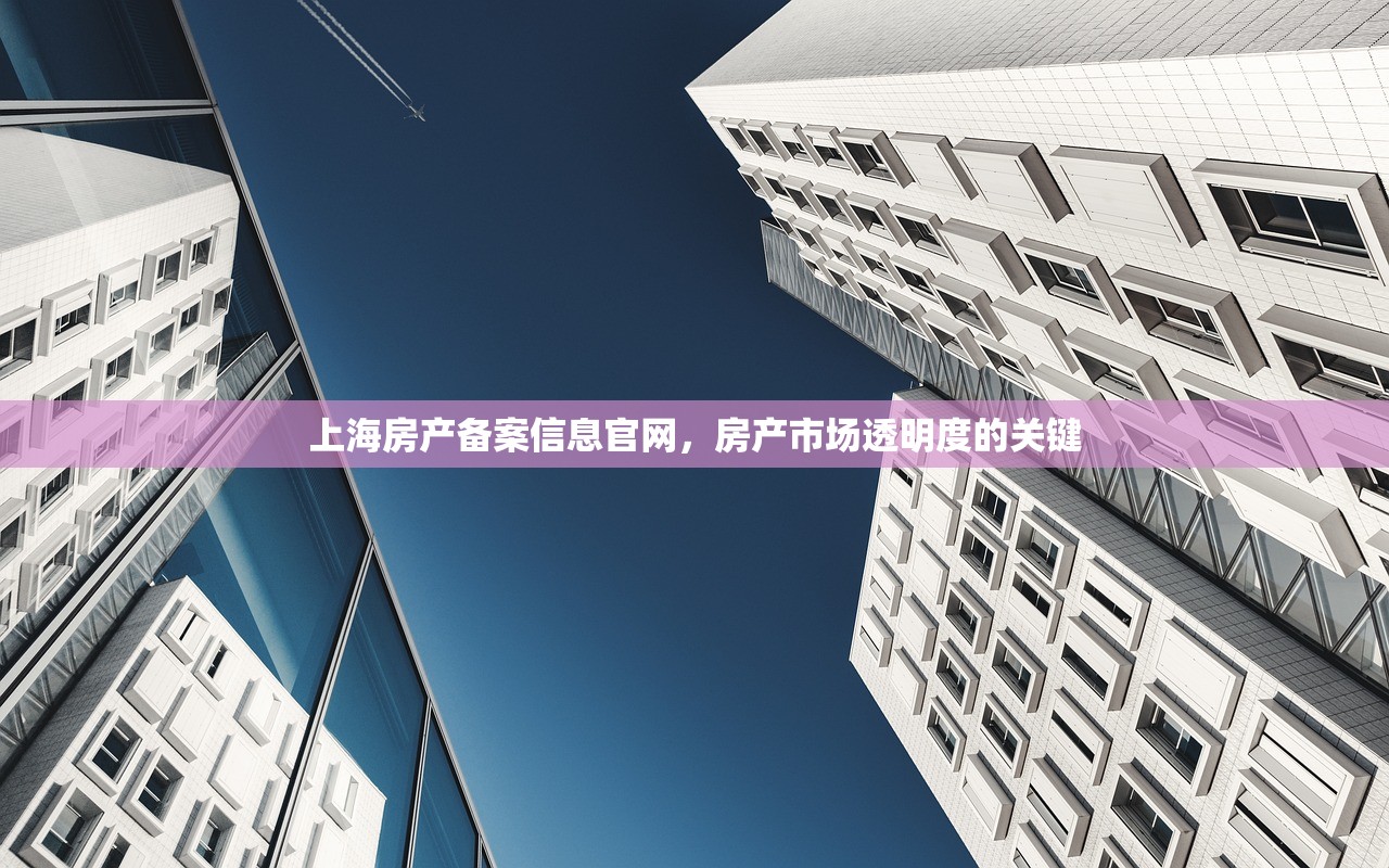 上海房产备案信息官网，房产市场透明度的关键