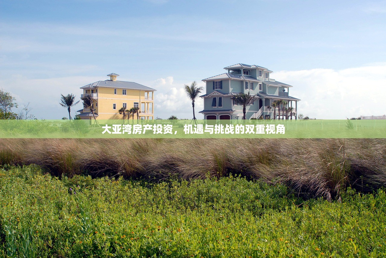 大亚湾房产投资，机遇与挑战的双重视角
