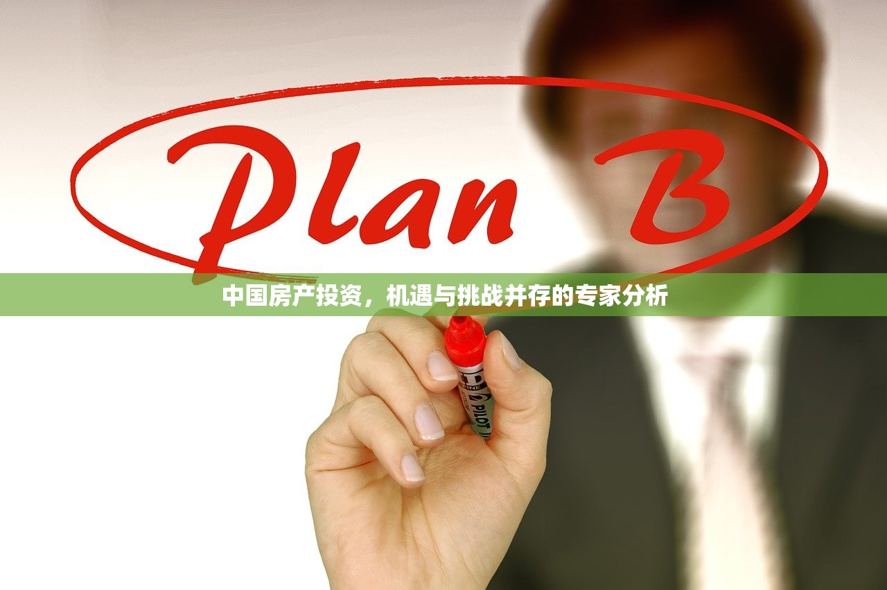 中国房产投资，机遇与挑战并存的专家分析
