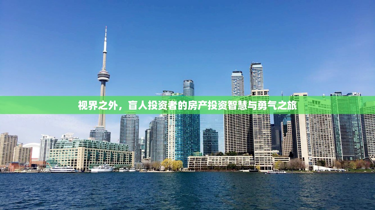 视界之外，盲人投资者的房产投资智慧与勇气之旅