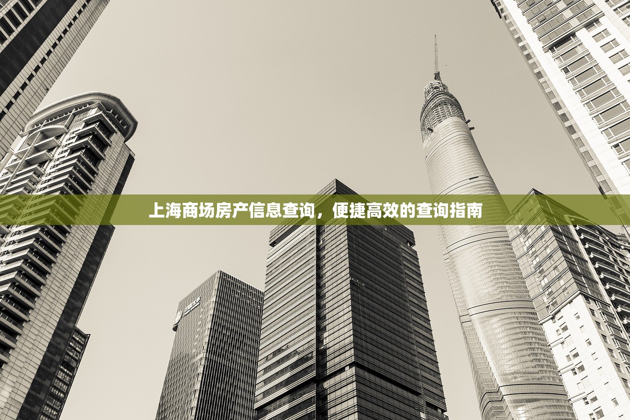 上海商场房产信息查询，便捷高效的查询指南
