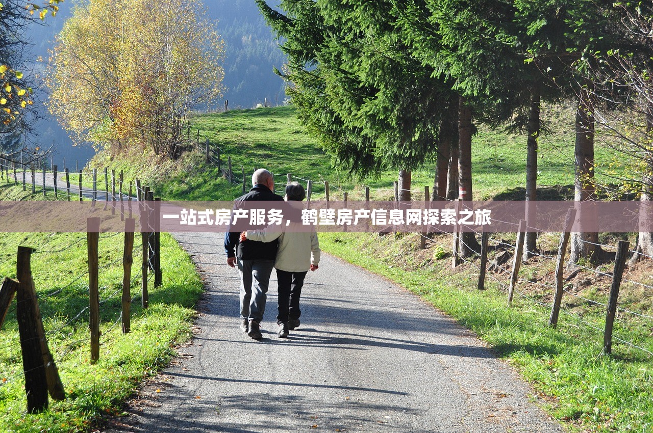 一站式房产服务，鹤壁房产信息网探索之旅