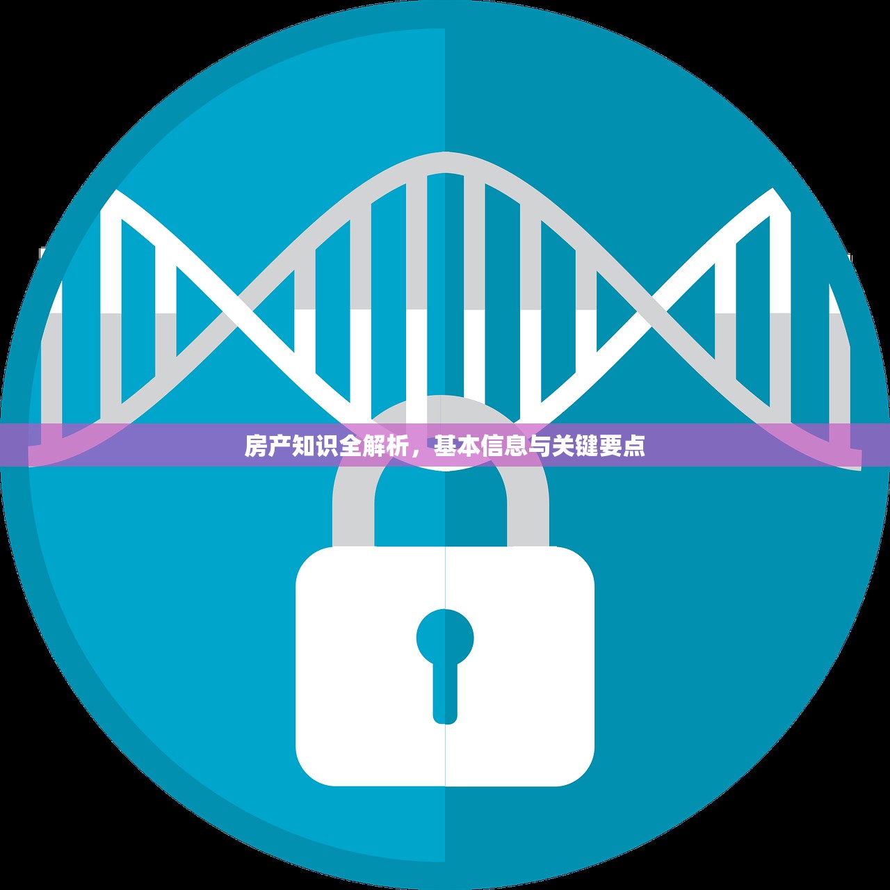 房产知识全解析，基本信息与关键要点