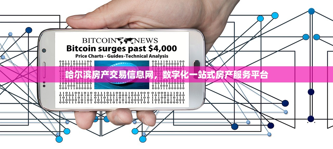 哈尔滨房产交易信息网，数字化一站式房产服务平台