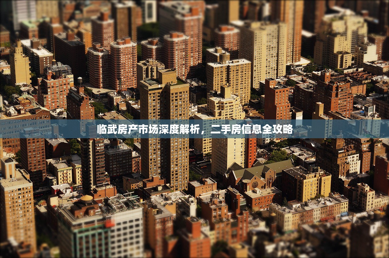 临武房产市场深度解析，二手房信息全攻略