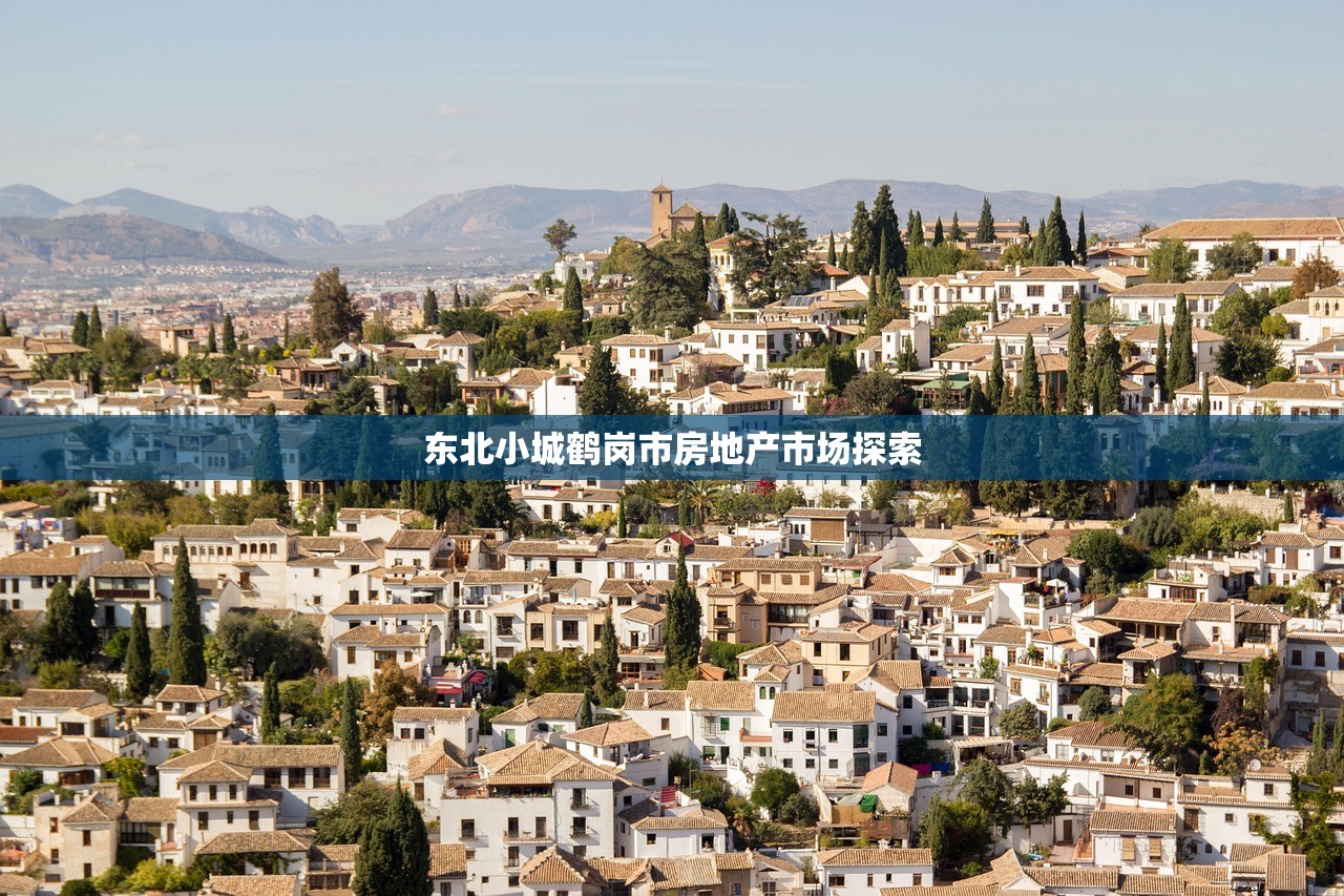 东北小城鹤岗市房地产市场探索