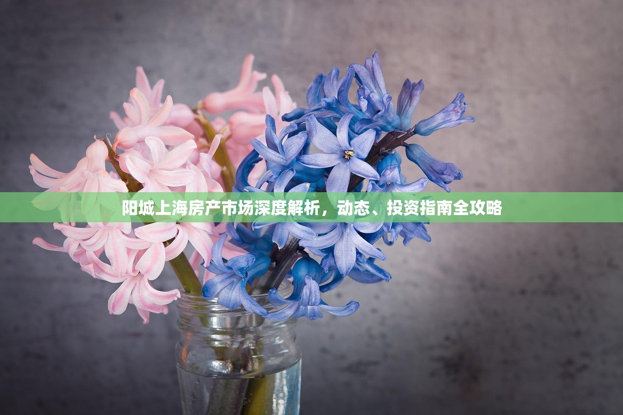 阳城上海房产市场深度解析，动态、投资指南全攻略
