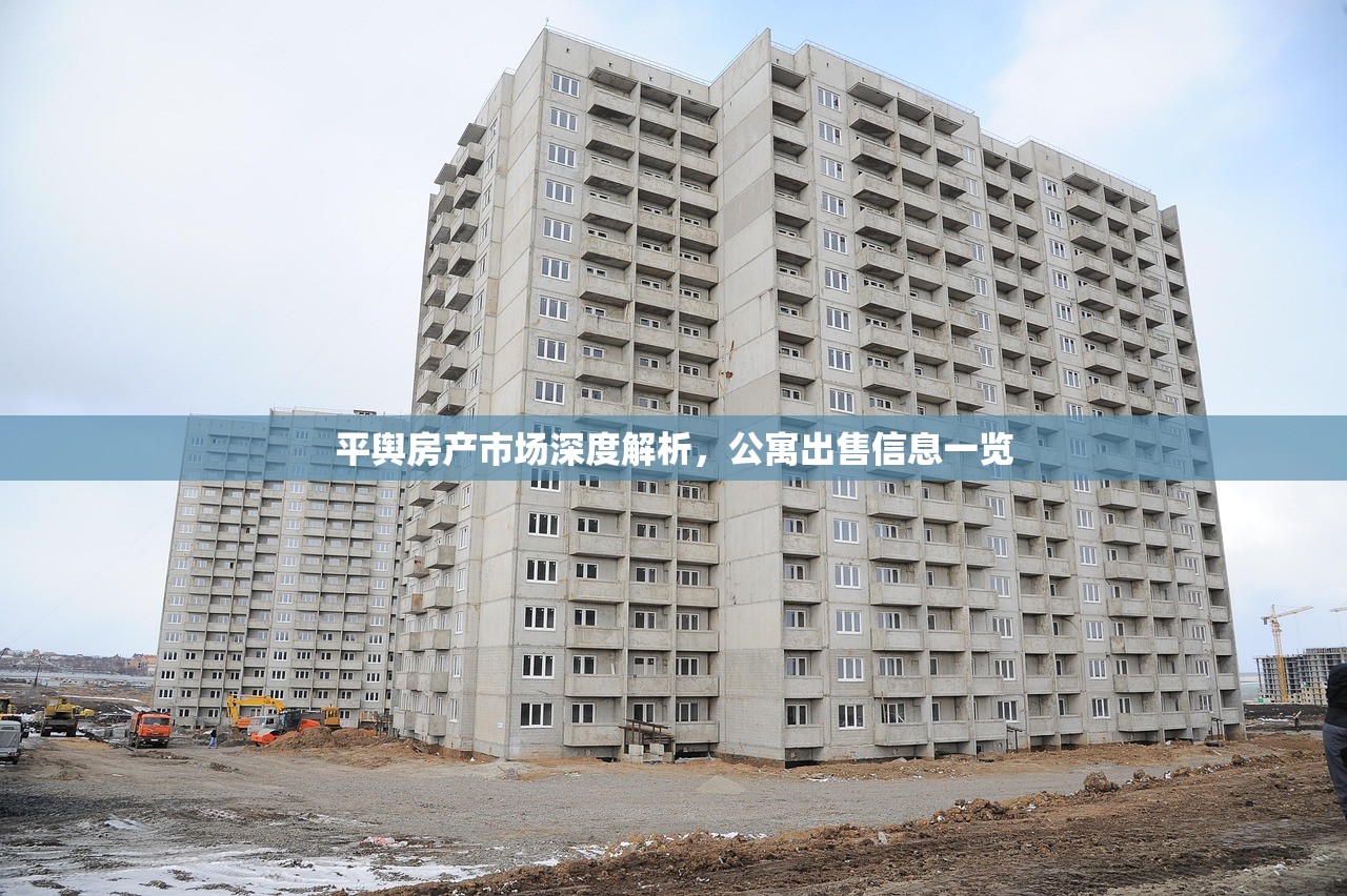 平舆房产市场深度解析，公寓出售信息一览