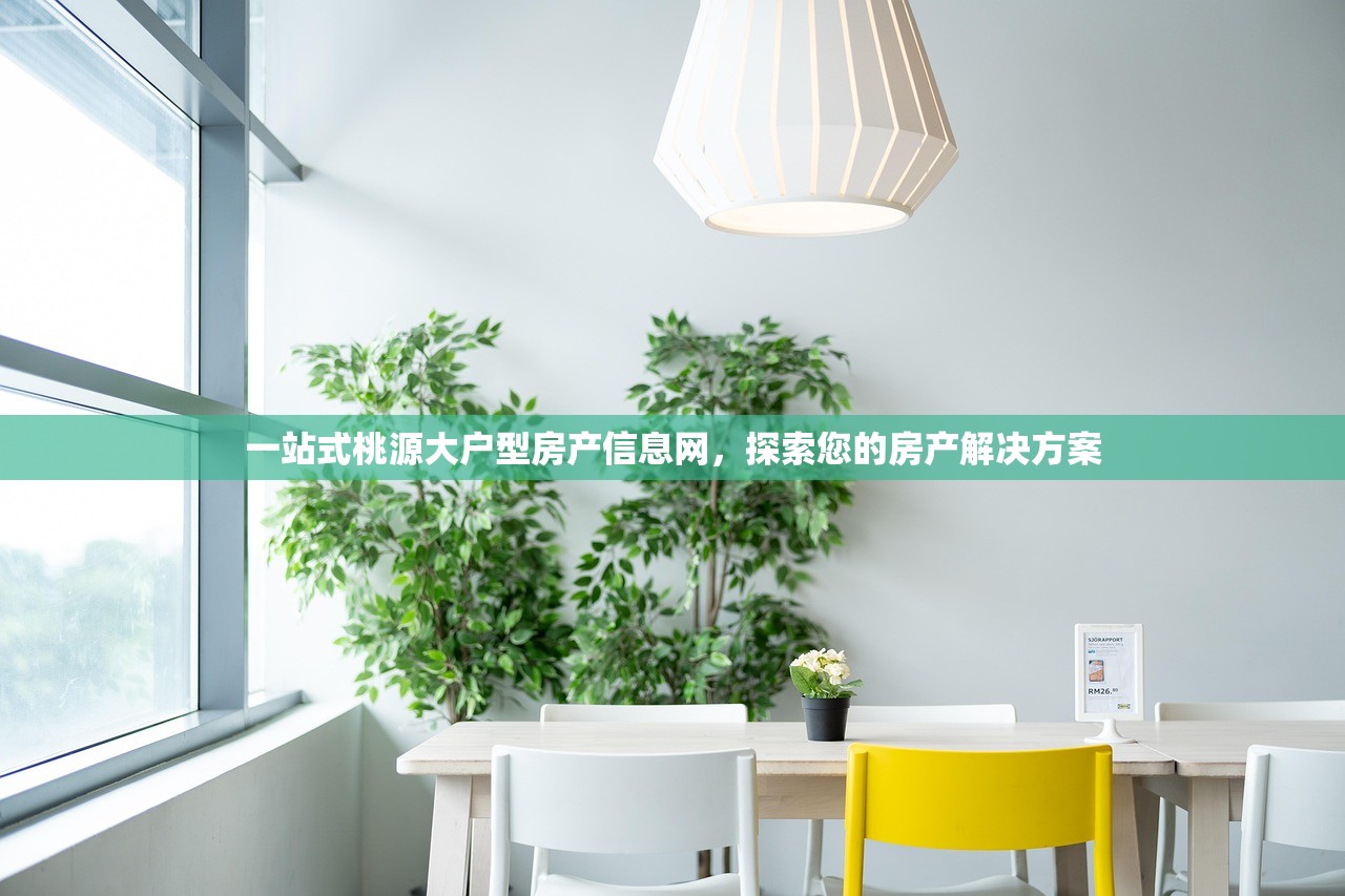 一站式桃源大户型房产信息网，探索您的房产解决方案