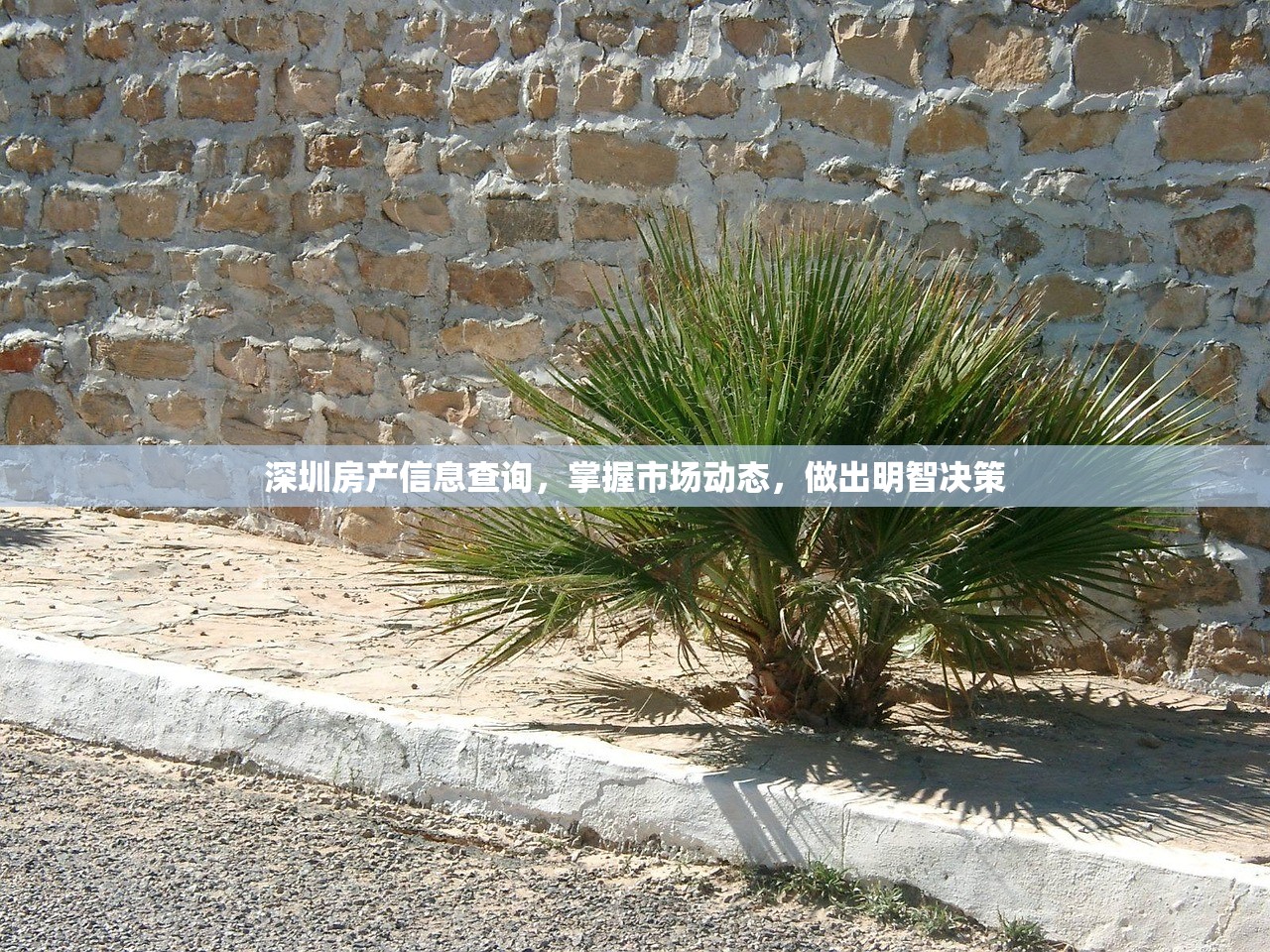 深圳房产信息查询，掌握市场动态，做出明智决策