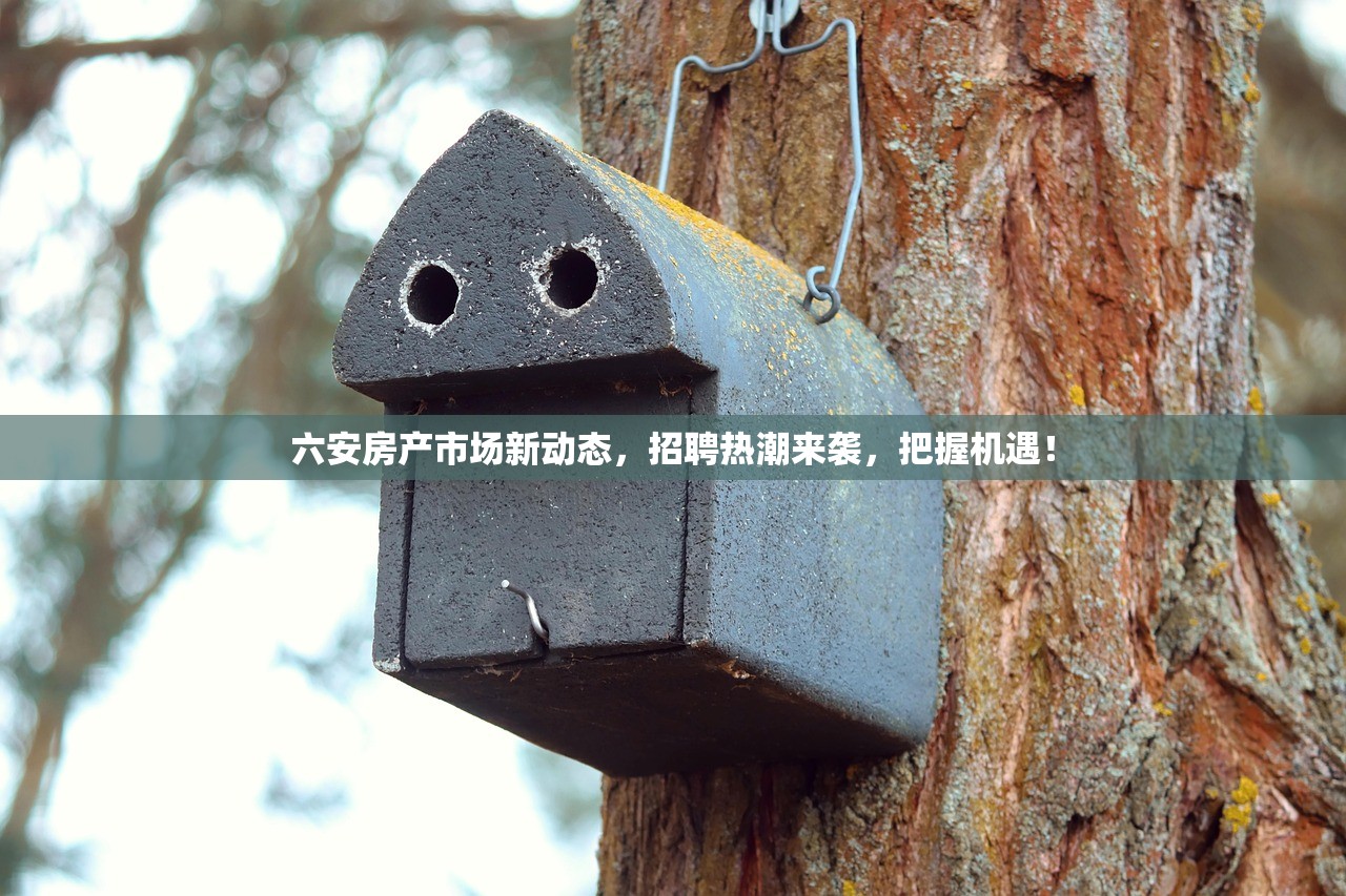 商铺房产证办理费用及表格下载详细指南