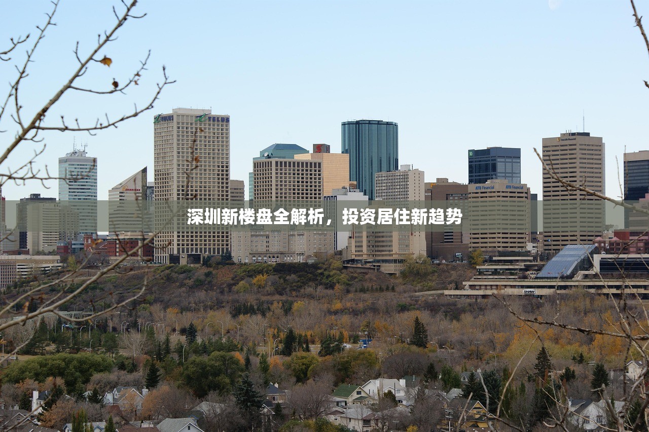 深圳新楼盘全解析，投资居住新趋势