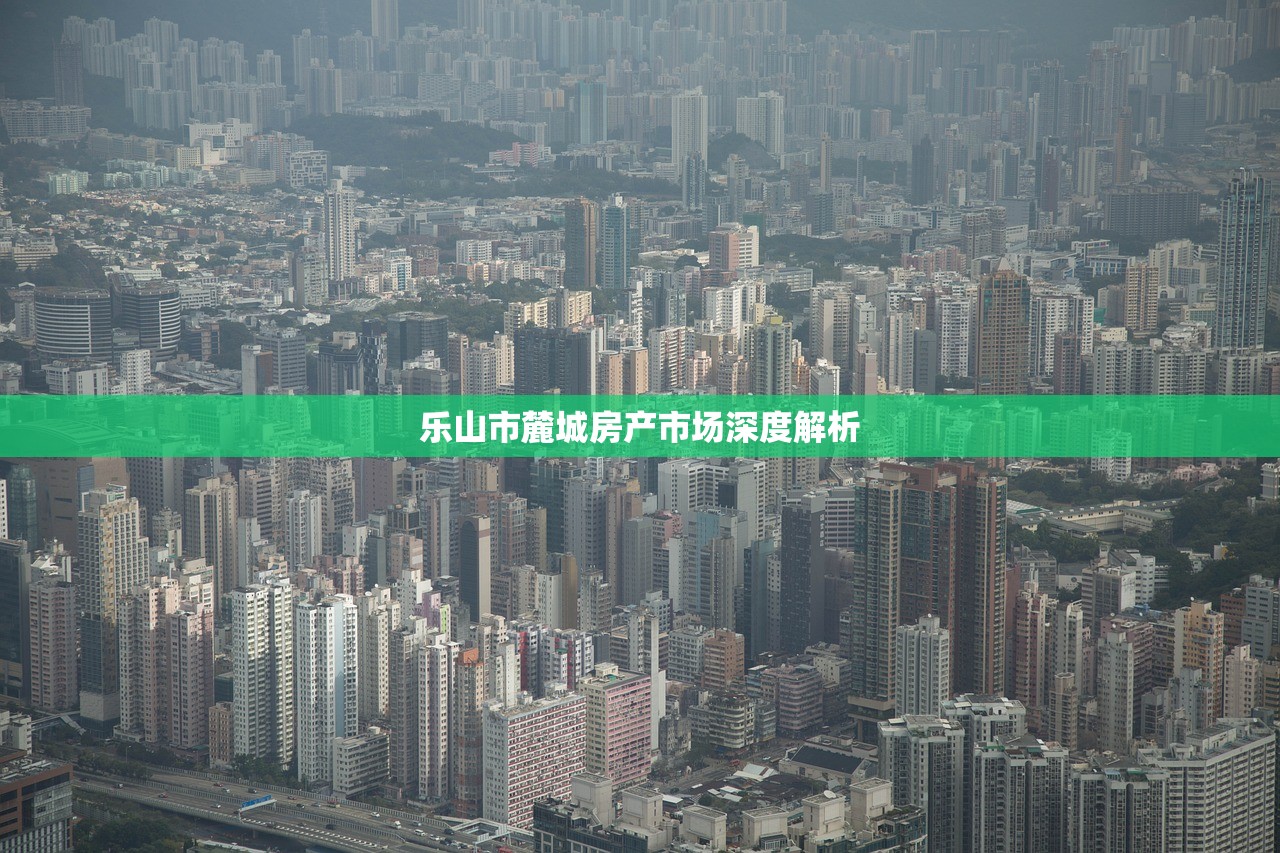 乐山市麓城房产市场深度解析