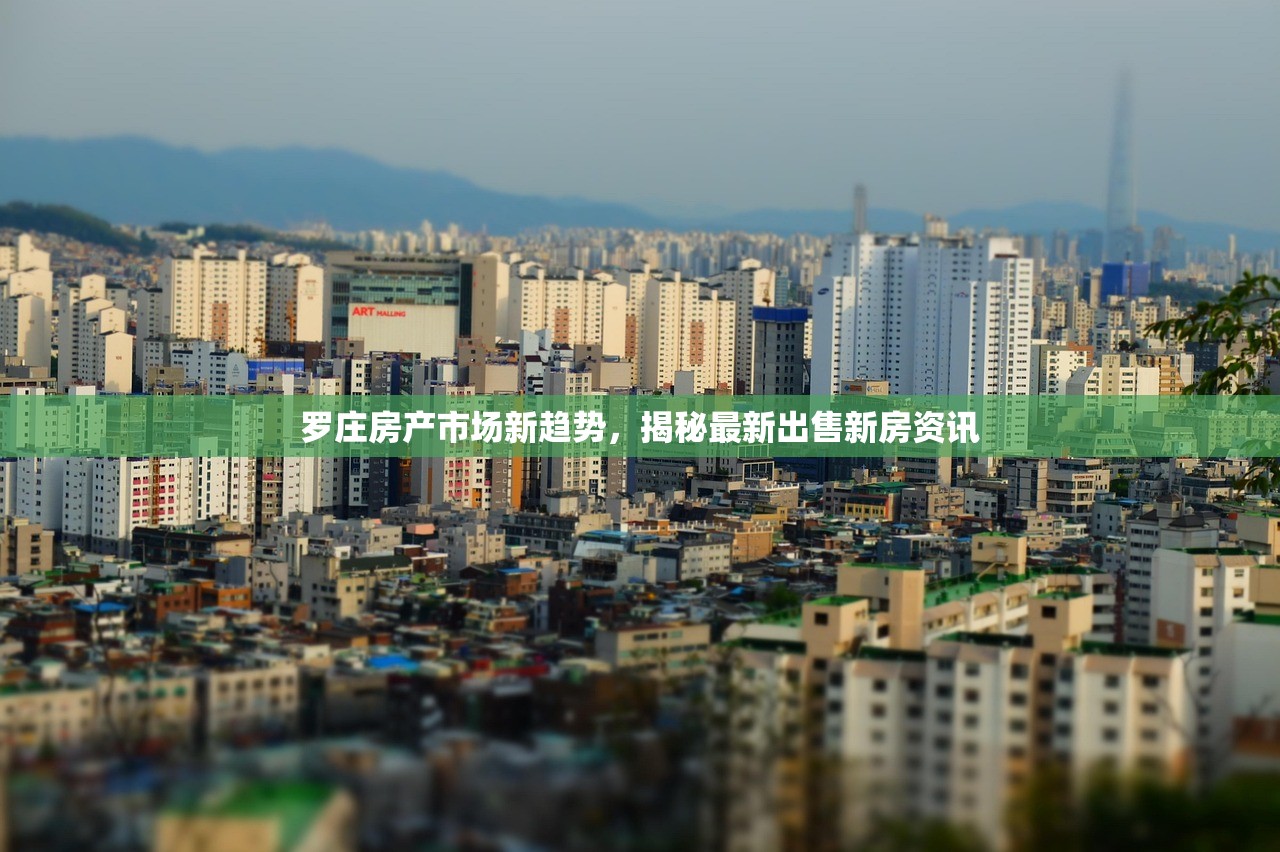 罗庄房产市场新趋势，揭秘最新出售新房资讯