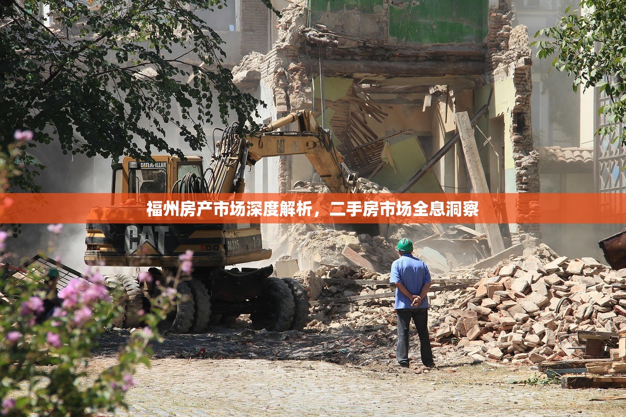 福州房产市场深度解析，二手房市场全息洞察