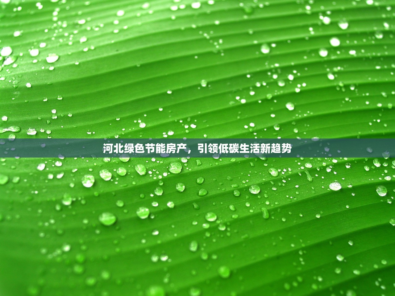 河北绿色节能房产，引领低碳生活新趋势