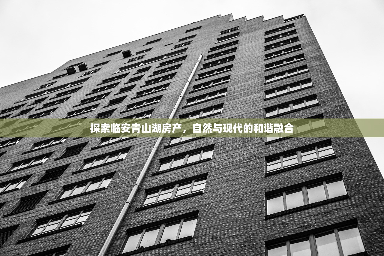 商铺信息 第296页