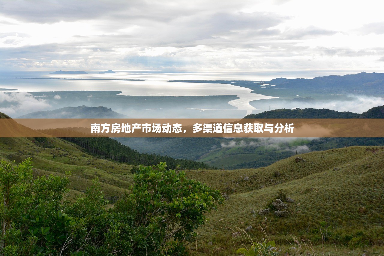 南方房地产市场动态，多渠道信息获取与分析
