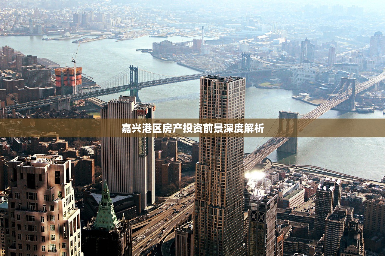 嘉兴港区房产投资前景深度解析