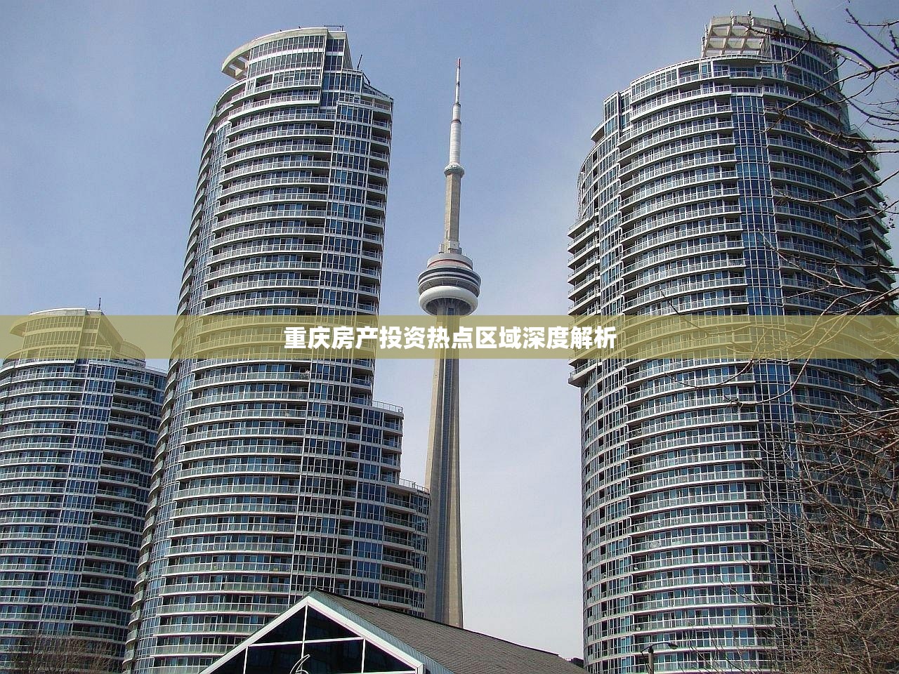 幸志行 第4页
