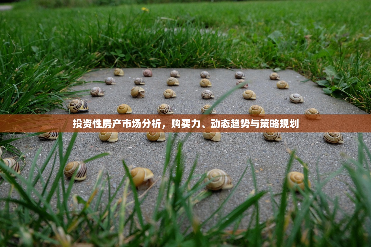 投资性房产市场分析，购买力、动态趋势与策略规划