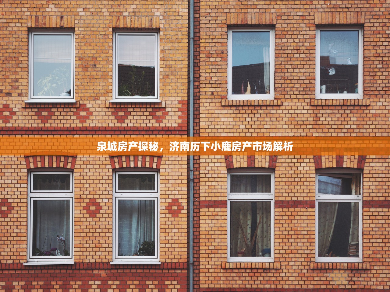 家阳冰 第4页