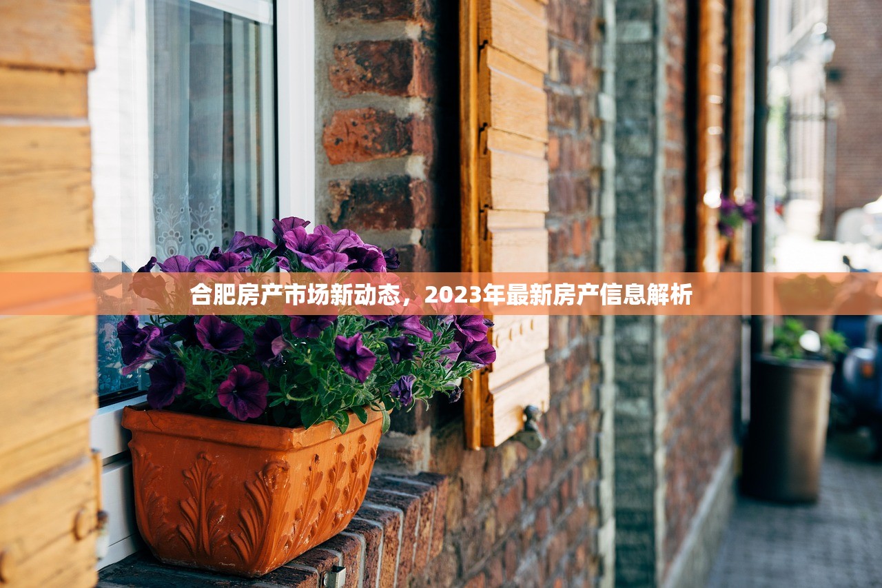 合肥房产市场新动态，2023年最新房产信息解析