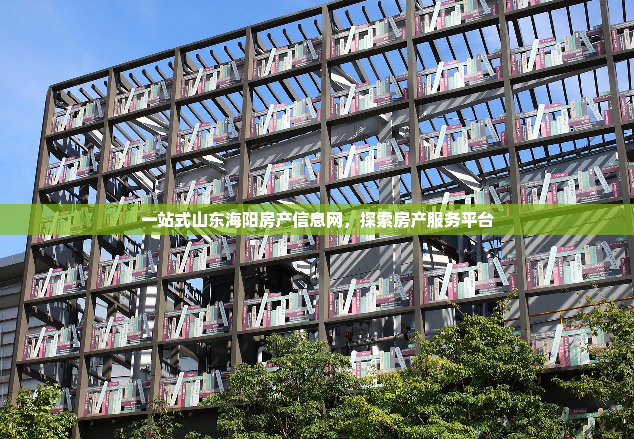 长沙县房产证信息查询全攻略