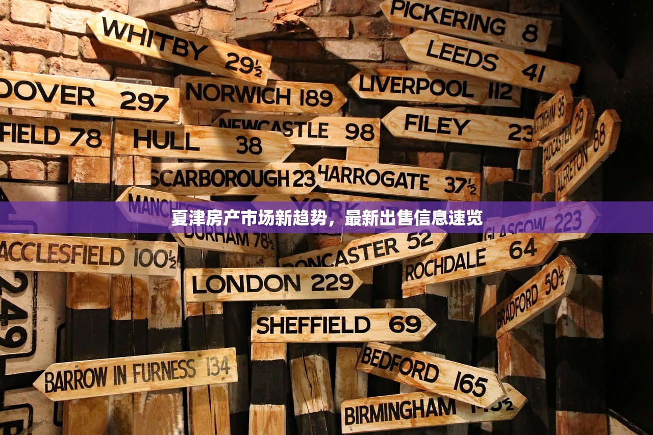 夏津房产市场新趋势，最新出售信息速览
