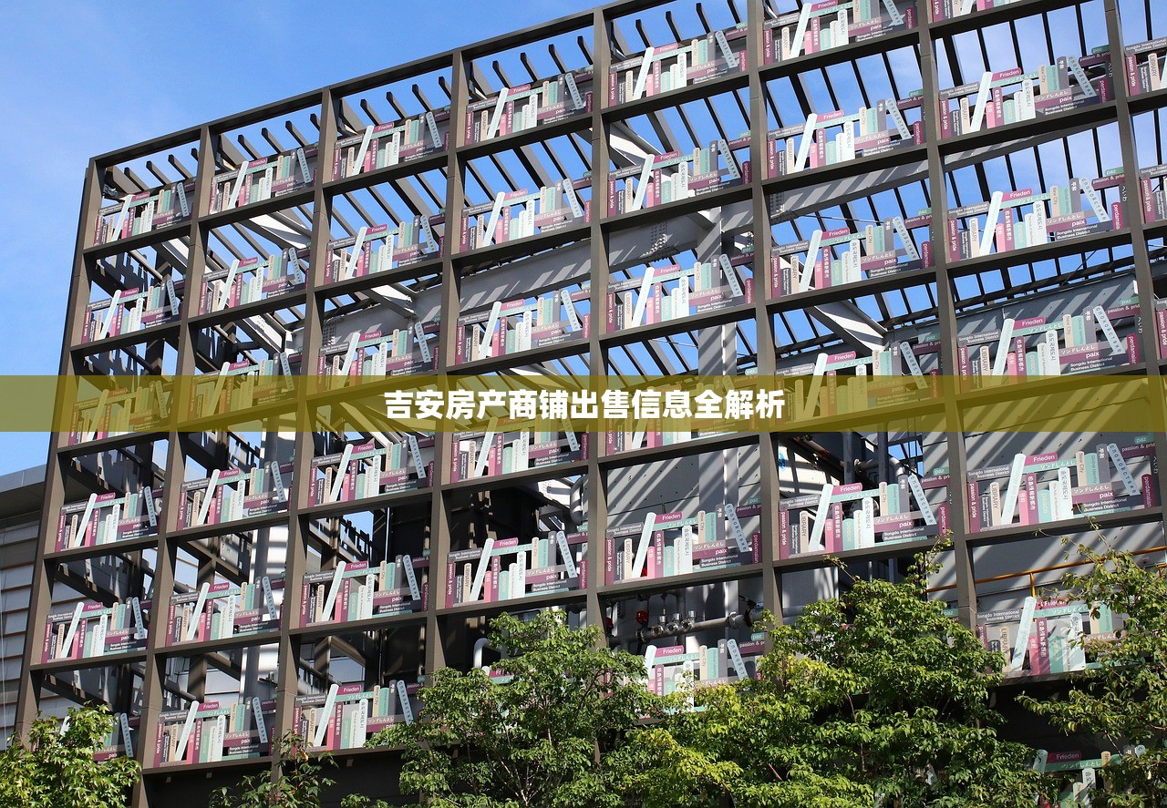 吉安房产商铺出售信息全解析